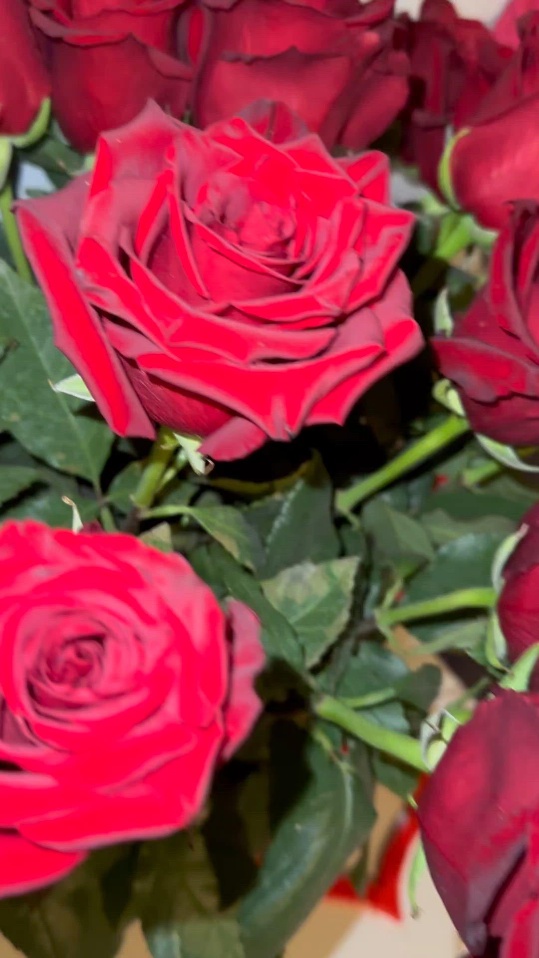 Enchanted Garden Dream: Floral Symphony
